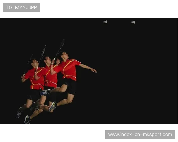 羽毛球国家队训练周期化管理模型设计